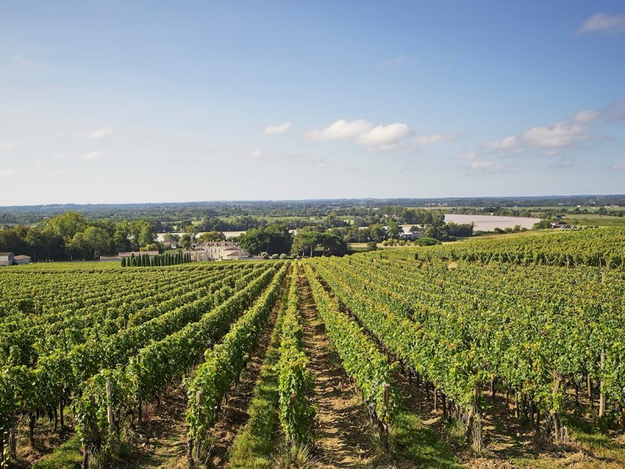 Château de la Dauphine image