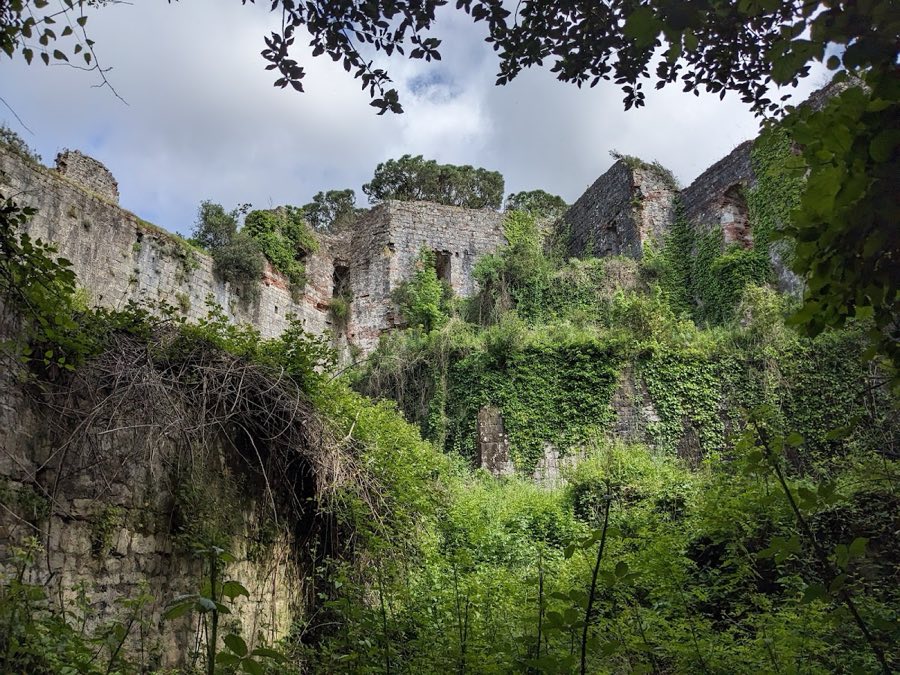 Rocca di Ripafratta image