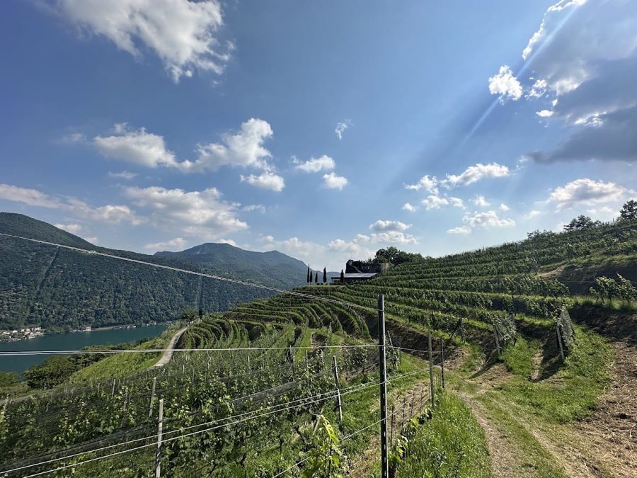 Morcote Castle image