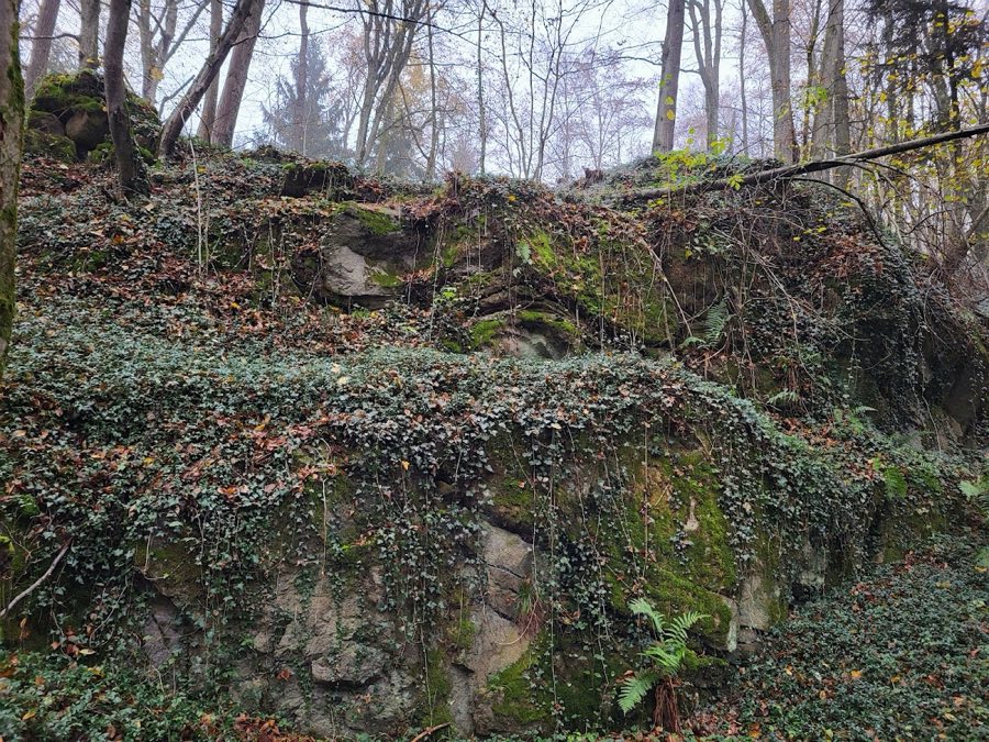 Burgruine Mitterberg image