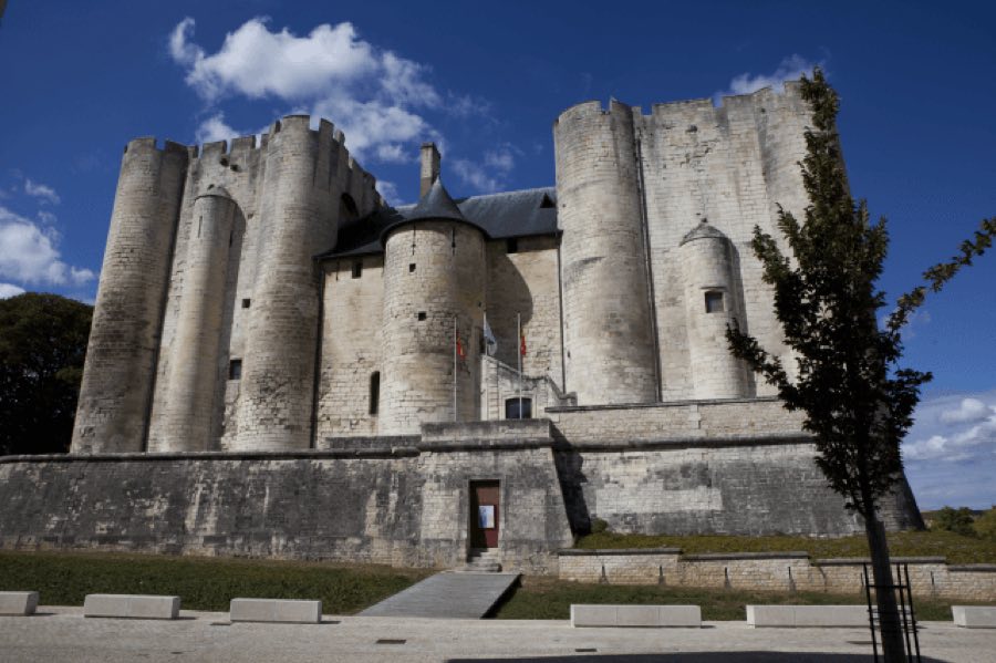 Castle of Niort image