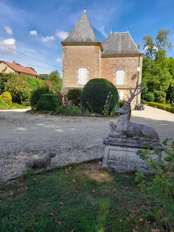 Château de Châtel image