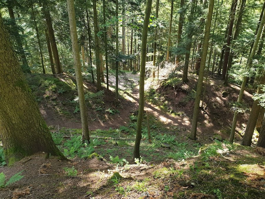 Willenburg image