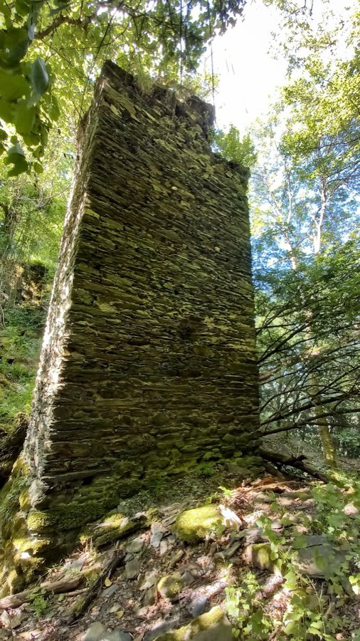 Burg Rheinberg image
