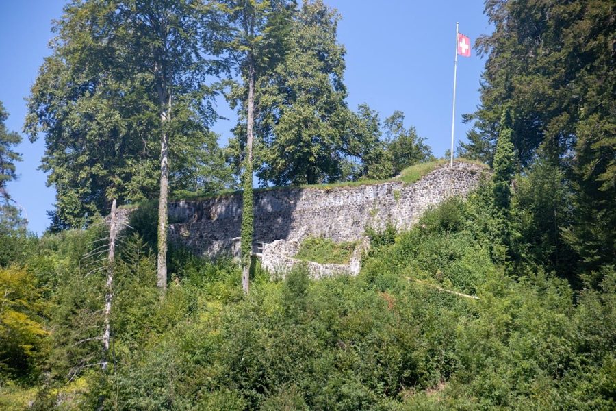 Alt-Landenberg image