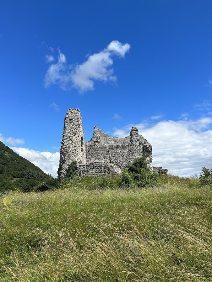 Château de Chaumont image