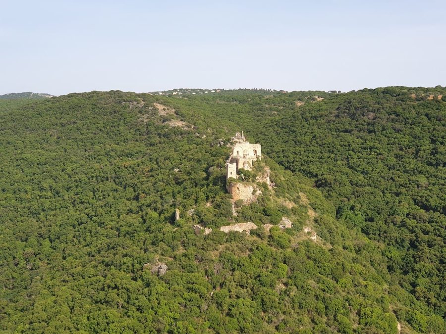 Montfort Castle image
