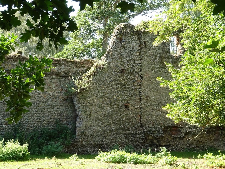 Mettingham Castle image
