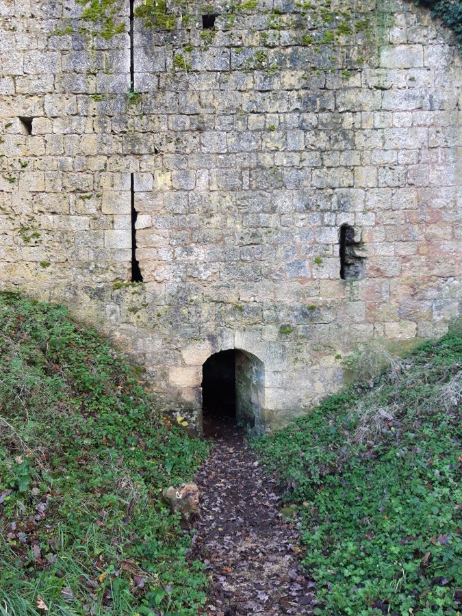 Château de Lusignan image