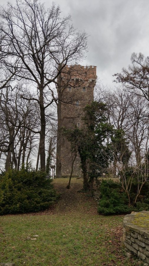 Cieszyn Castle image