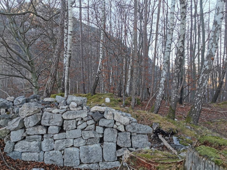 Burg Ober-Falkenstein image