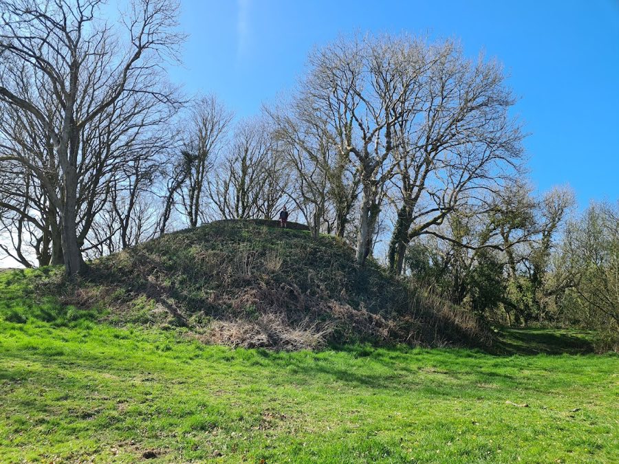 Nevern Castle image