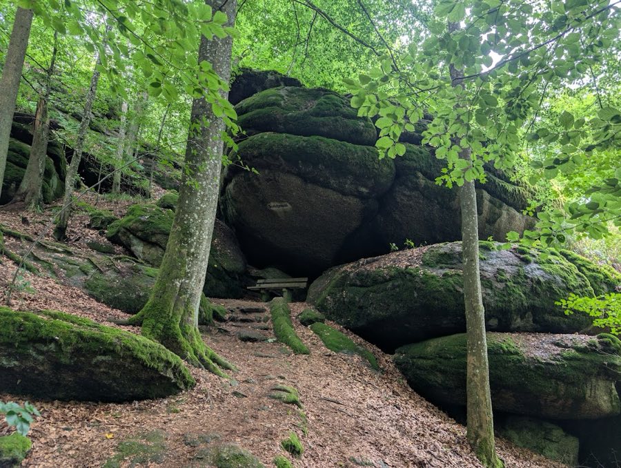 Burg Falkenstein image