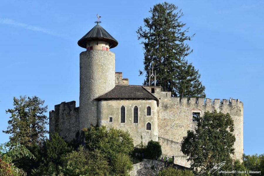 Birseck Castle image