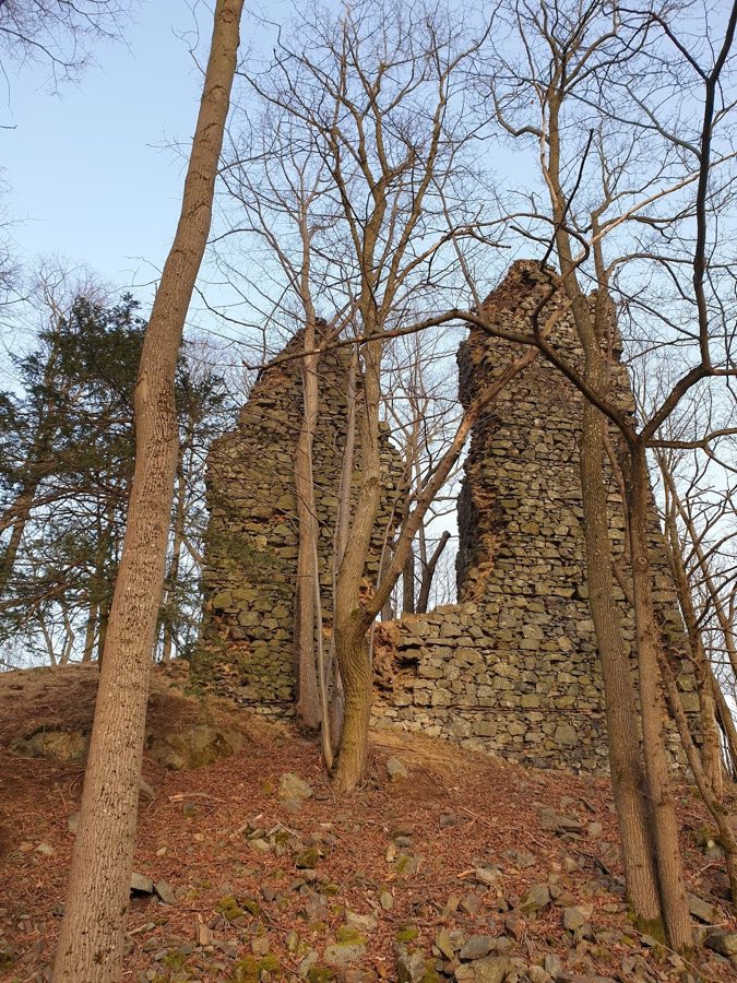 Castle Netřeb image