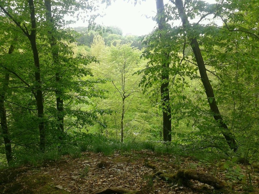 Burg Berge image