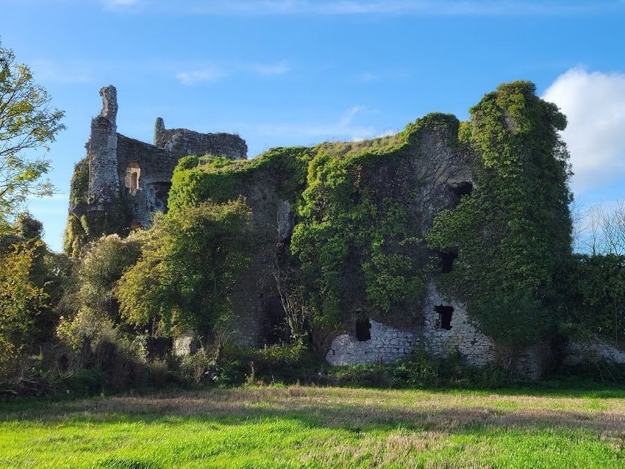 Lea Castle image