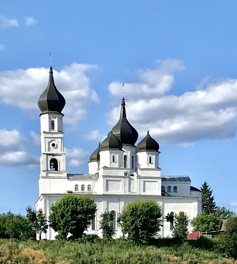 Ovruch Castle image