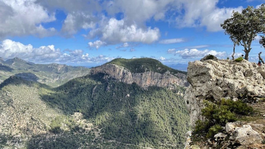 Castell d'Alaró image