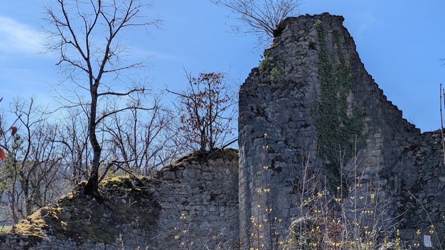 Engenstein image