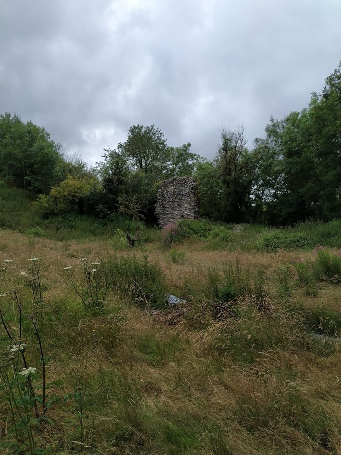 Huntington Castle image