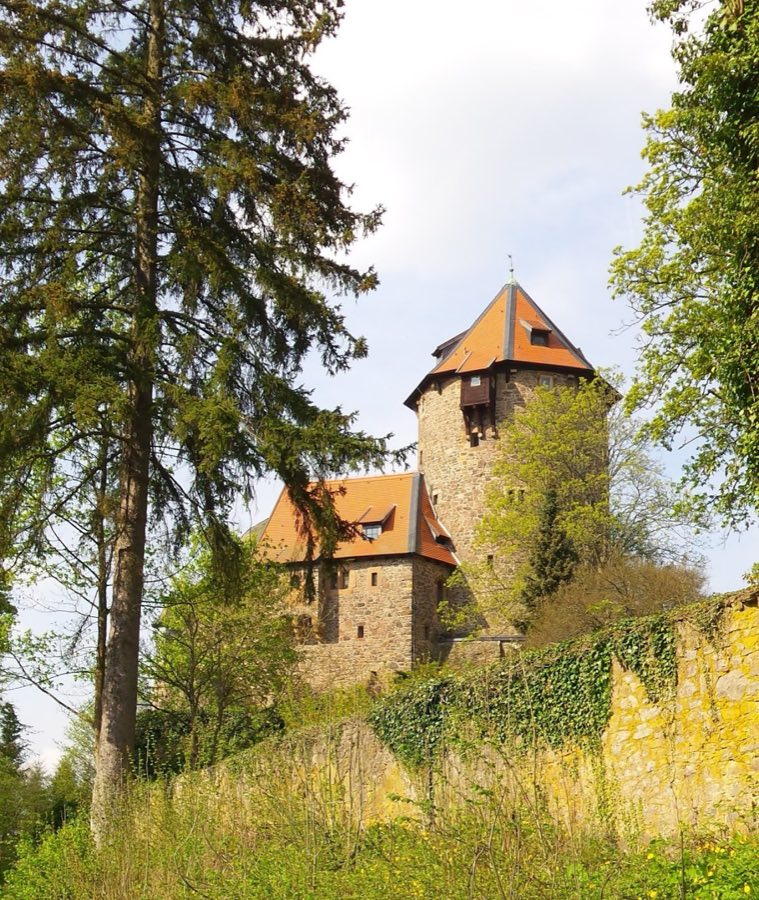 Burg Lichtenfels image