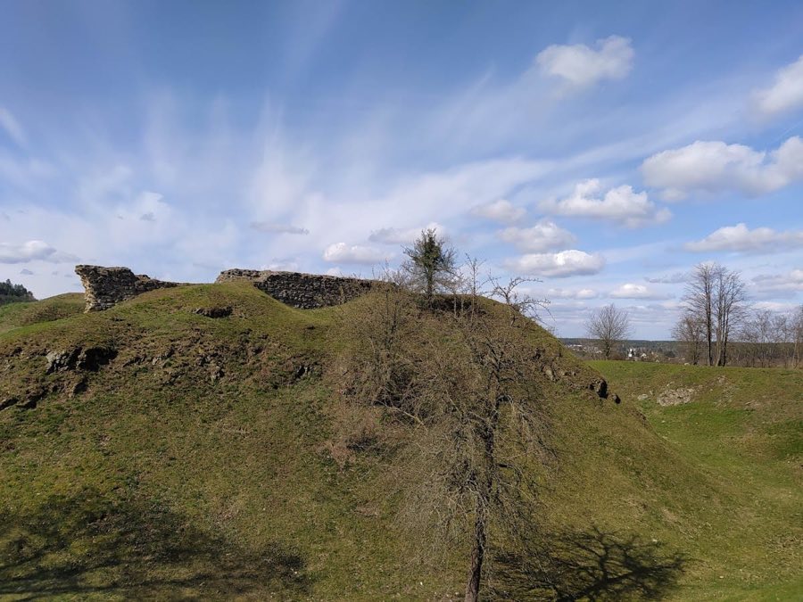 Castle Litice image