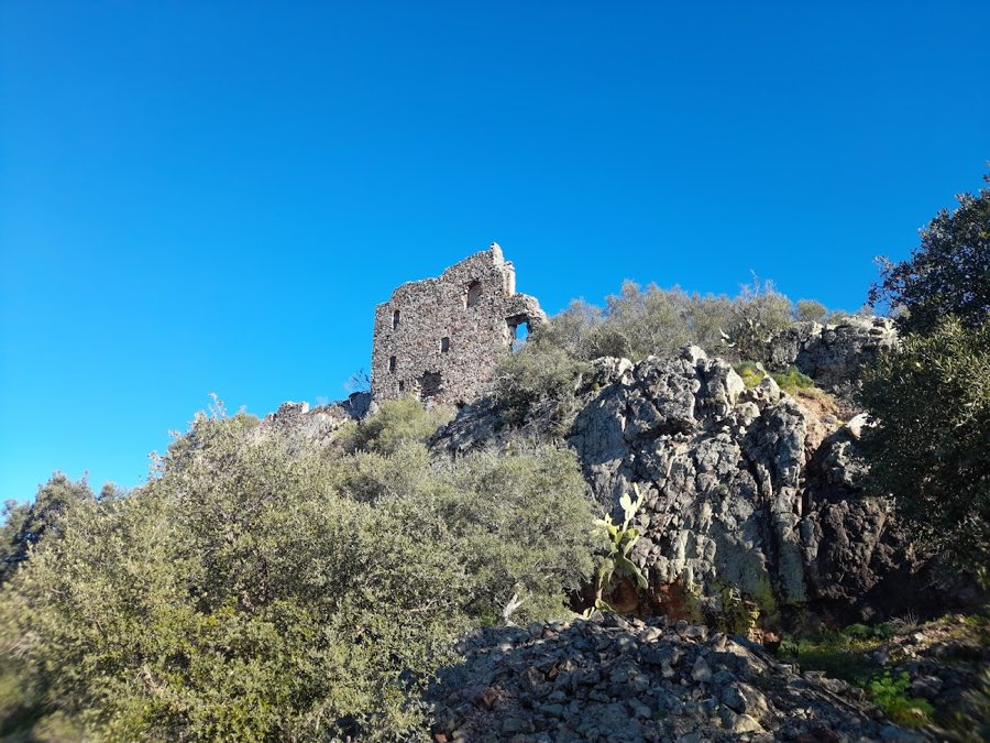 Castillo de Mayorga image