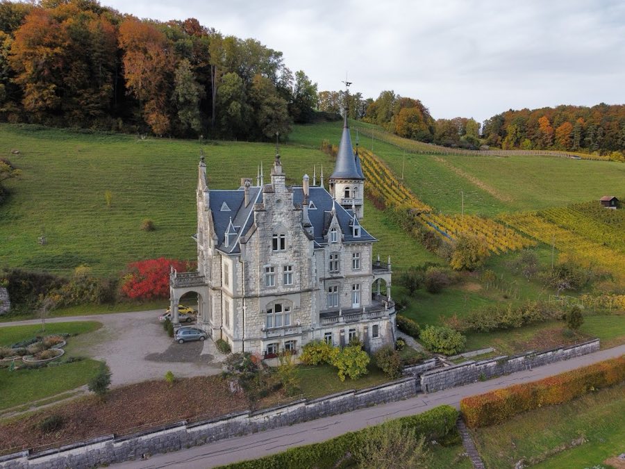 Wart Castle, Neftenbach image