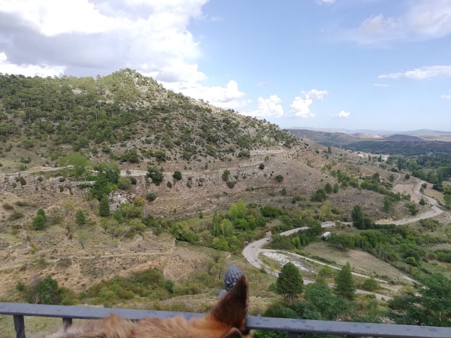 Algarra Castle image
