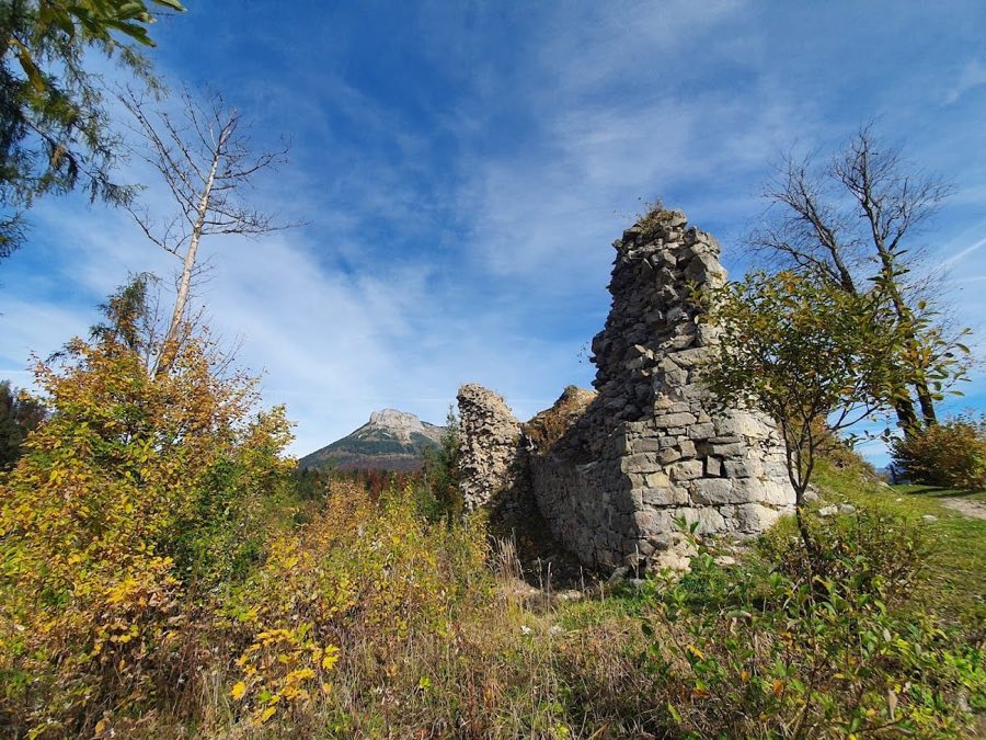 Ruine Pflindsberg image