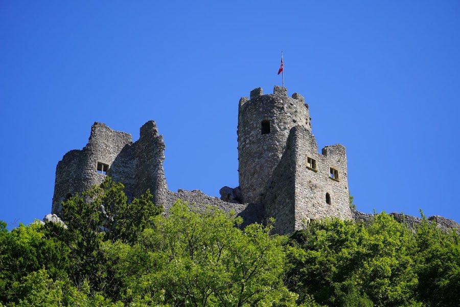 Neu-Falkenstein Castle image