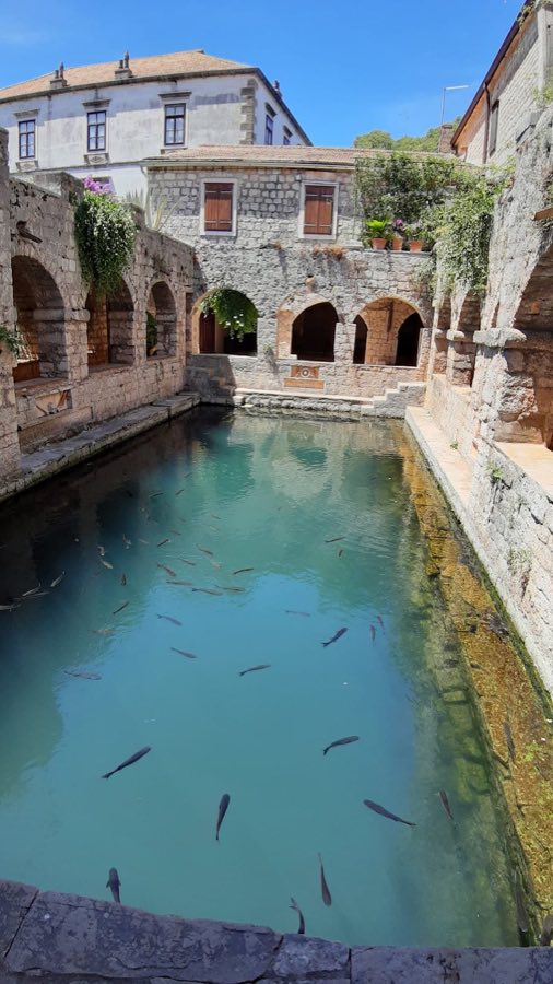 Tvrdalj Castle image