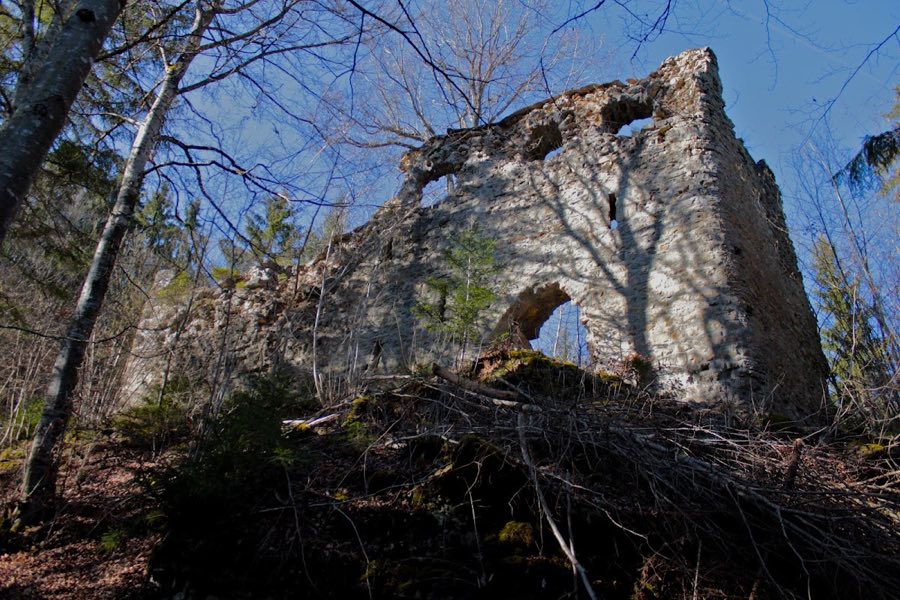Burg Neu-Tannegg (Burg Boll) image
