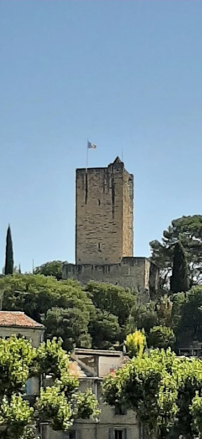Castle of Sommières image