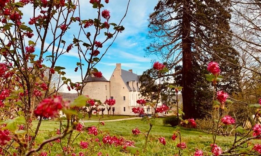 Château du Chambon image