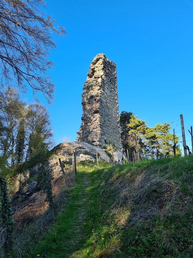 Grimmenstein Castle Ruin image