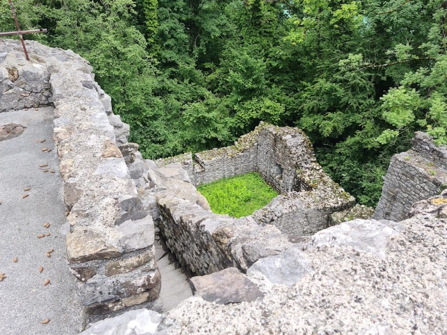 Weissenau Castle image