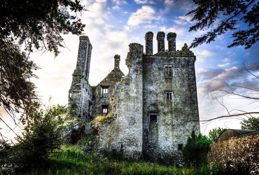Ballycowan Castle image