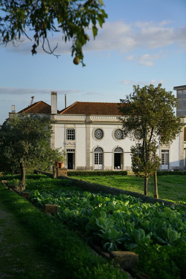 Palácio dos Duques de Lafões image