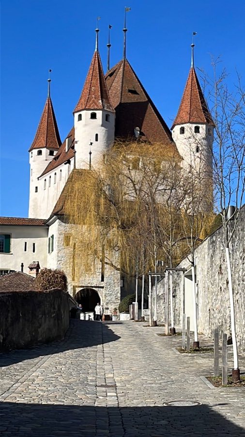 Thun Castle image