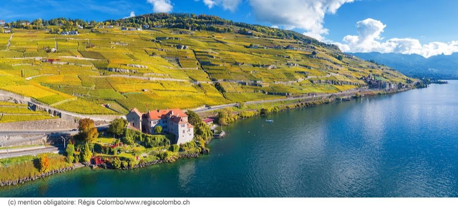 Château de Glérolles image