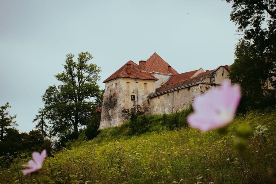Svirzh Castle image