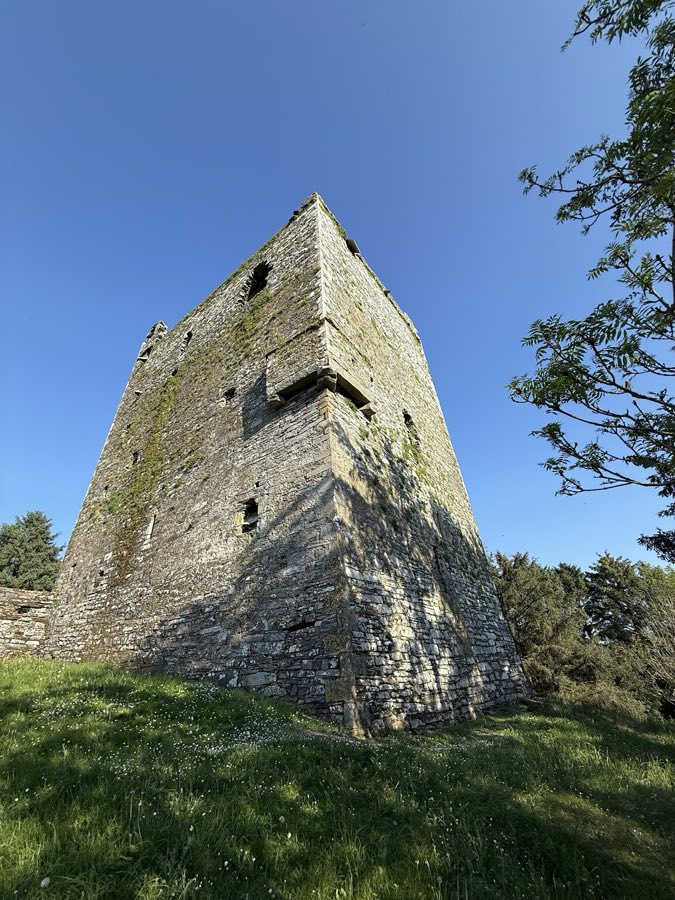 Ballinacarriga Castle image