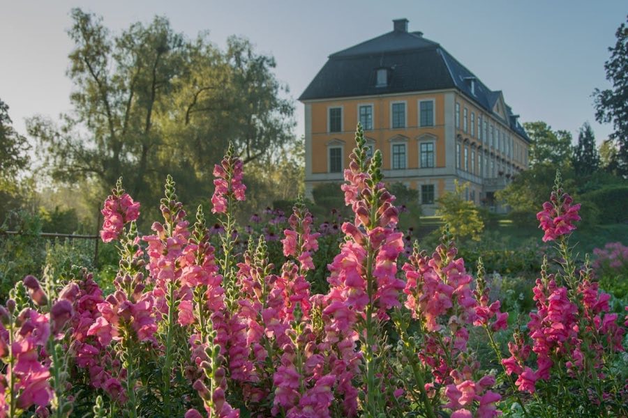 Nynäs Castle image