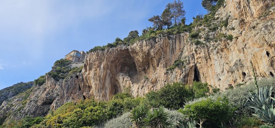 Castello Voronoff image