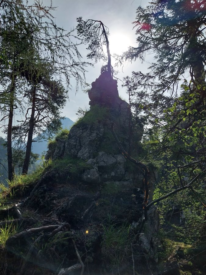 Burgruine Saalegg image