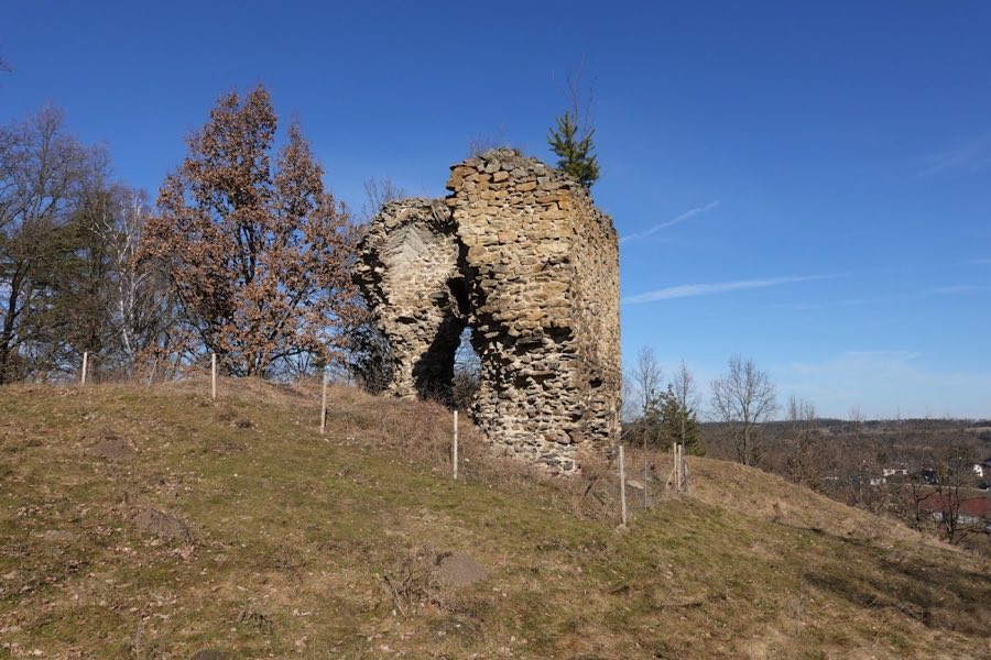Burg Weikertschlag image