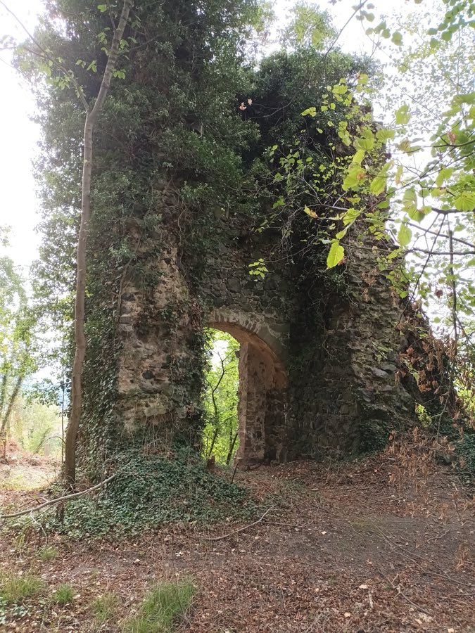 Ruine Falkenberg image