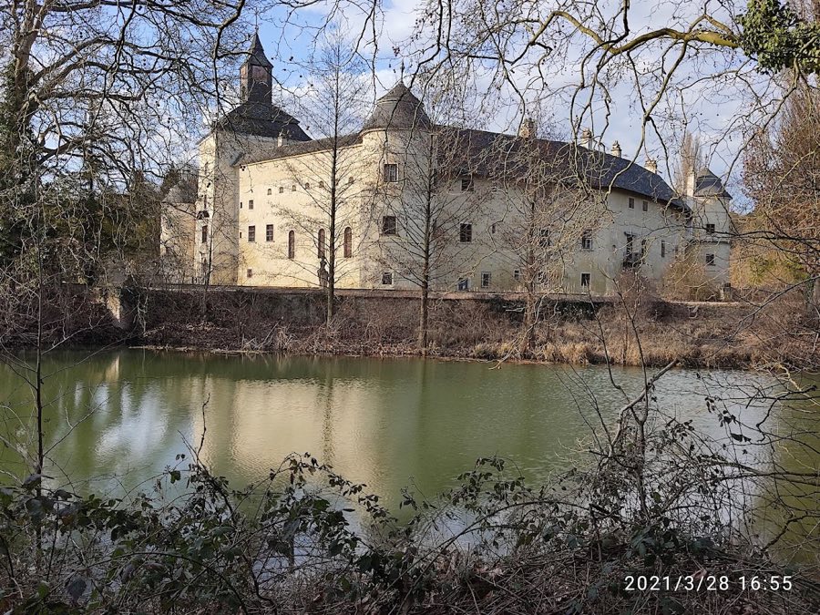 Schloss Niederleis image